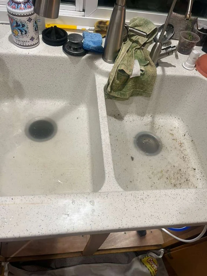 Menlo Park Kitchen Sink Clog Caused by Holiday Cooking — What Really Happened 1